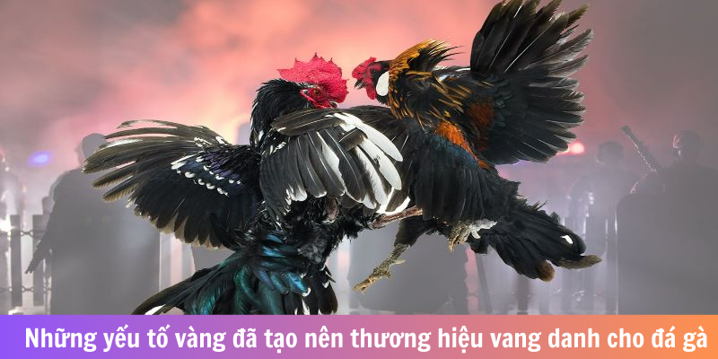 Những yếu tố vàng đã tạo nên thương hiệu vang danh cho đá gà 8KBET